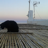 obra