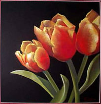 Tulipes