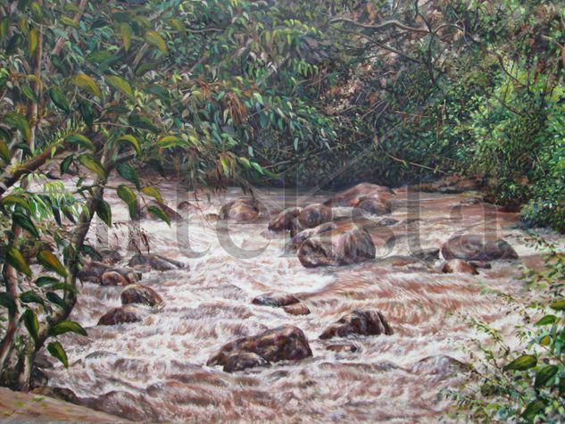 RIO Oil Canvas Landscaping