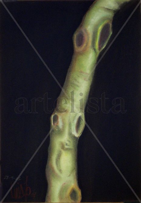 Verticarbol011