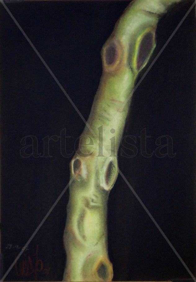 verticarbol011