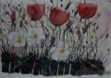 Flores del Campo