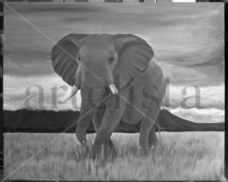 Elefante Africano