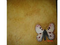 mariposa