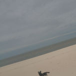 Natura dichosa thumbnail 2