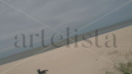 Puro horizonte
