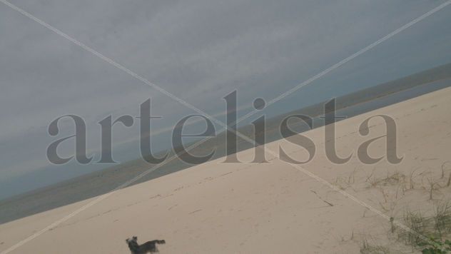 Puro horizonte