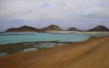 Playa de Las...