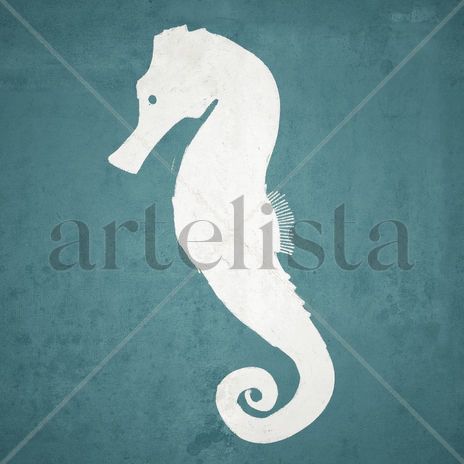 Seahorse