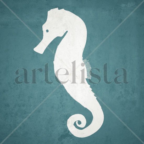 Seahorse 