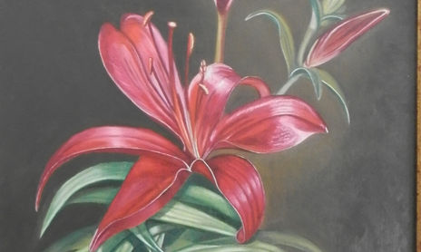 flores