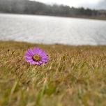 Mucuchies thumbnail 1