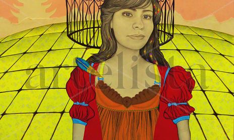 Desde la mujer/ proyecto ilustrado