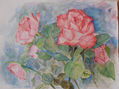 Mis rosas