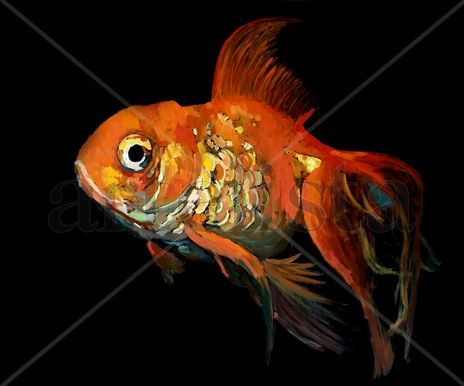 Carpa Naranja