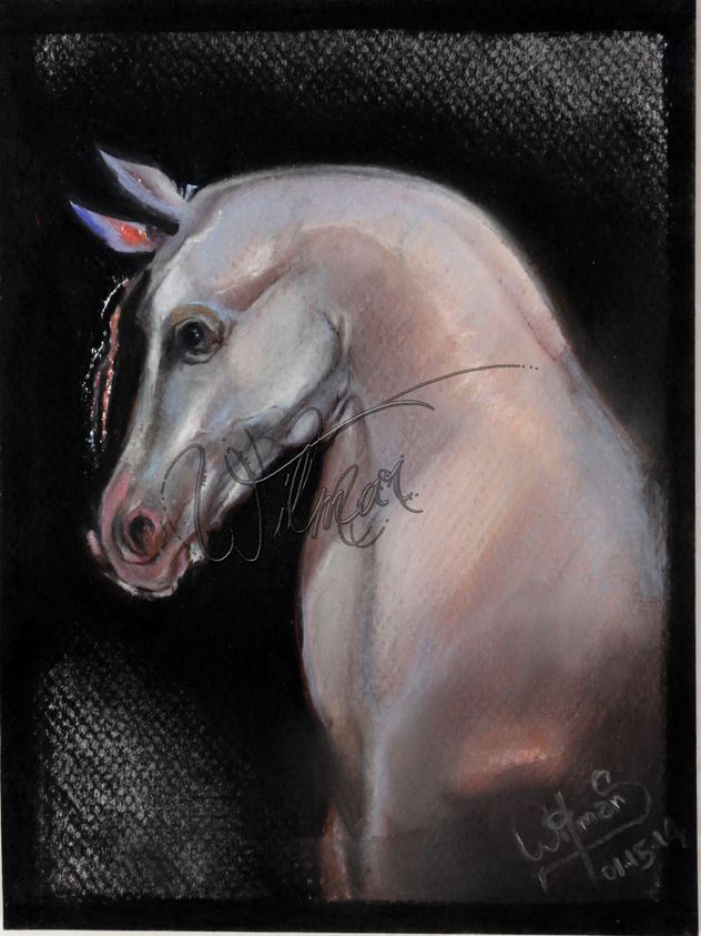 albino