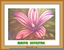 Malva Silvestre