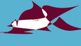 Anfibio marino