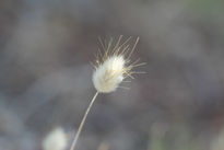 A favor del viento.