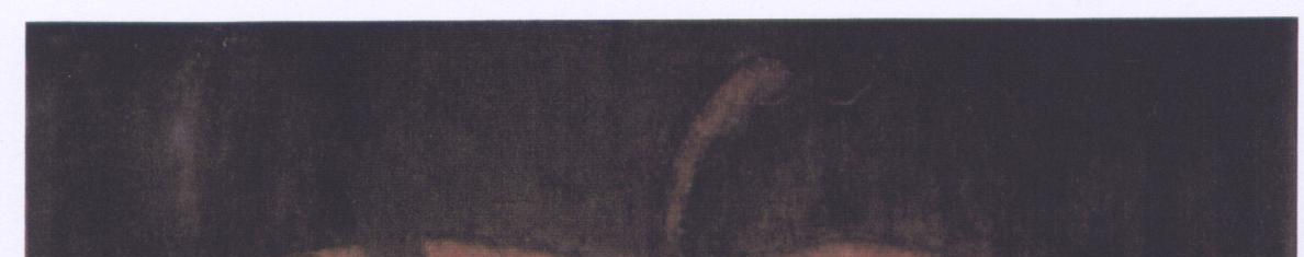 Imagen de portada