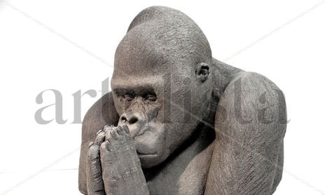 Involution