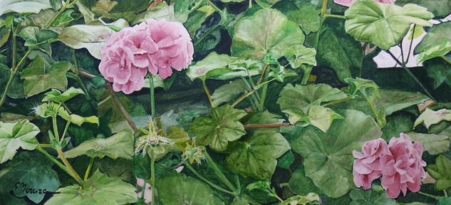 Geranio Watercolour Paper Floral Painting