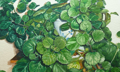 Naturaleza