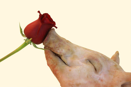 El perfume