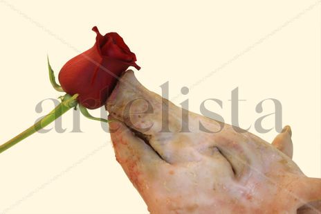 El perfume