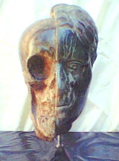 " CRANEO-ROSTRO "