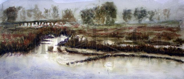 Río Coura