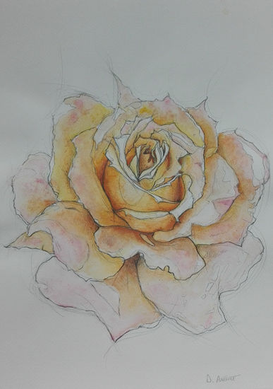 Rosa Watercolour Paper Floral Painting