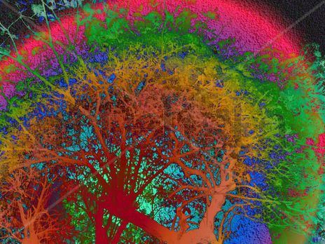 Arbol de Luz
