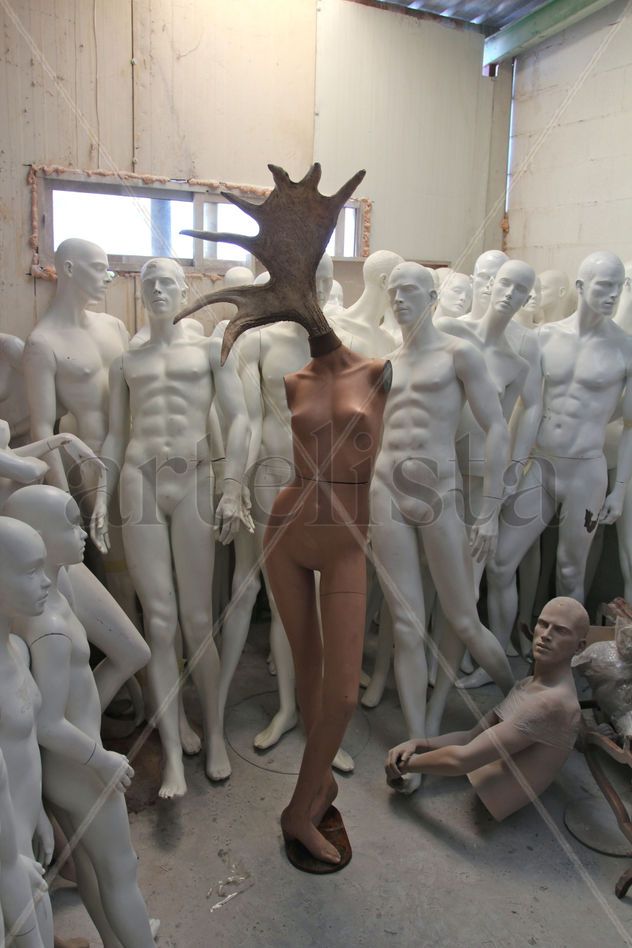 VENUS DE ALCE