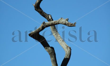 NATURALEZA
