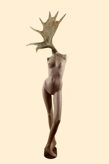 venus