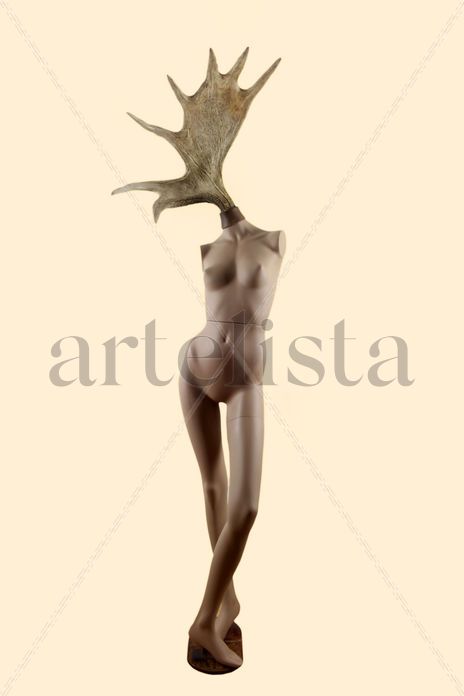 Venus