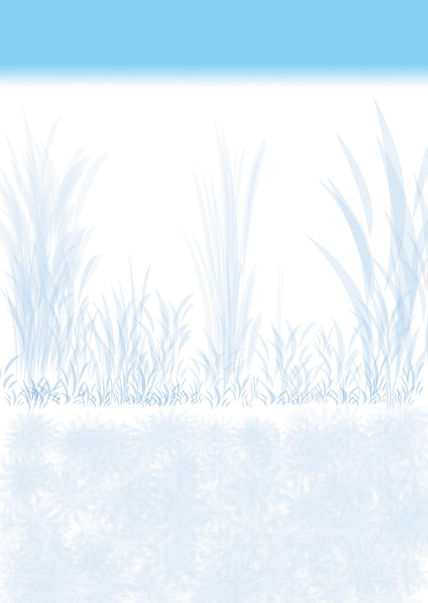 El jardin de Niebla