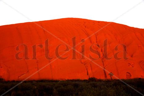 Rojo 1