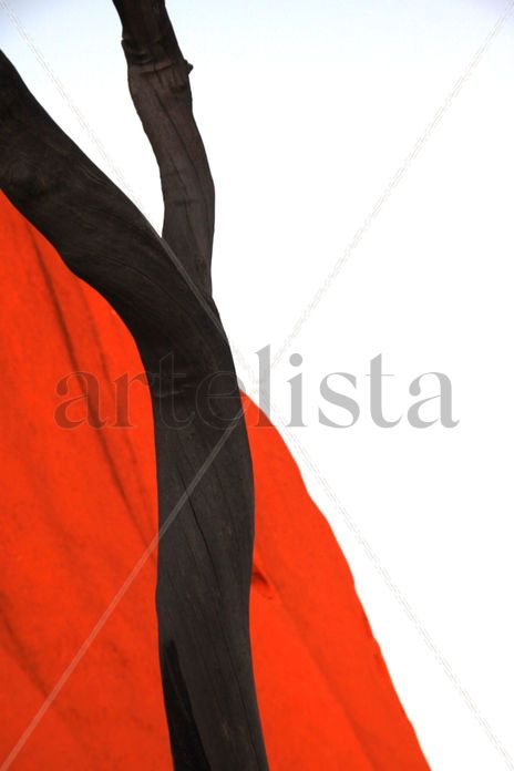 Rojo 11