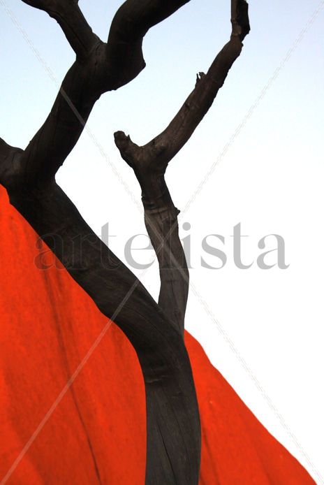 Rojo 13