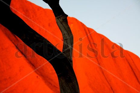 Rojo 14