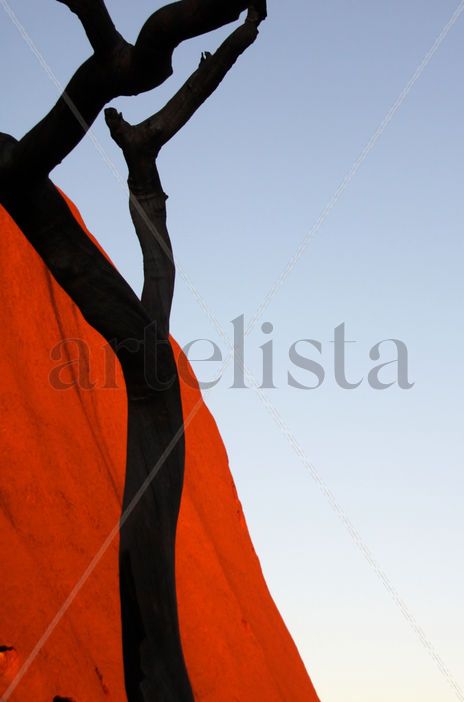 Rojo 15