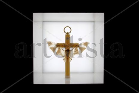 Caja de luz 1