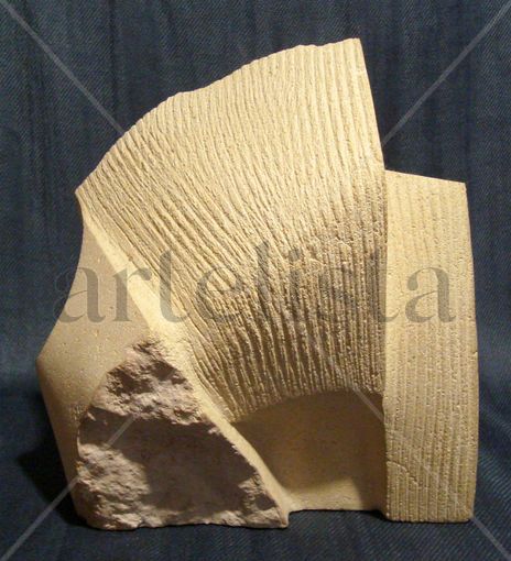 Coral Fosil