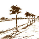 Paisaje Rural thumbnail 1