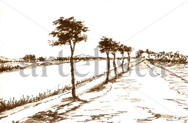Paisaje-bambú