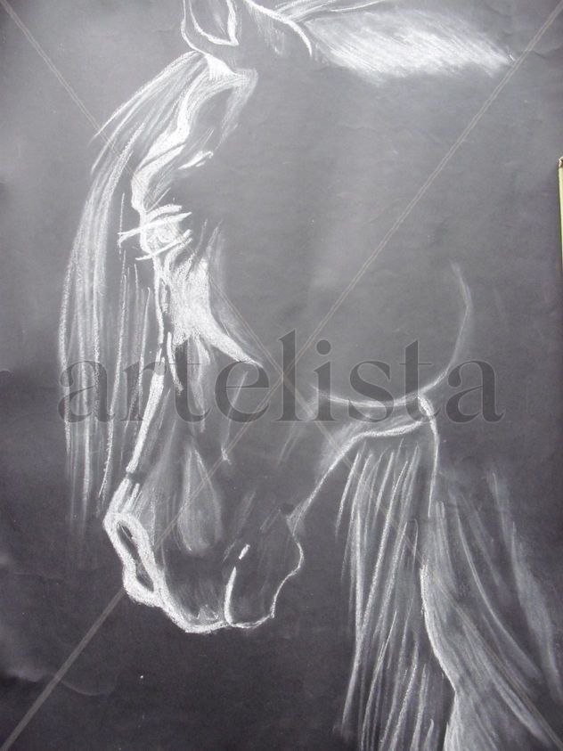 Retrato