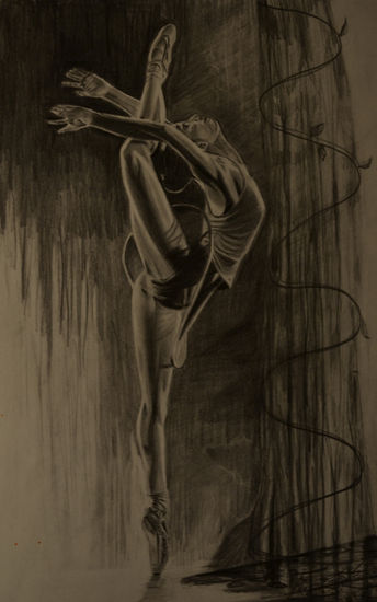 Danza 1 Graphite