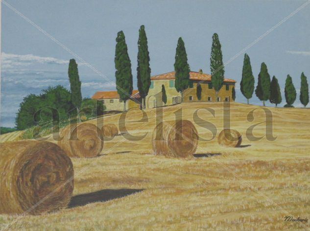 2015 - Toscana Acrylic Panel Landscaping